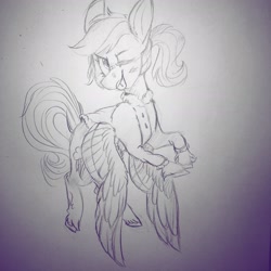 Size: 3024x3024 | Tagged: artist needed, safe, character:rainbow dash, species:pegasus, species:pony, /mlp/, 4chan, alternate hairstyle, bandaid, clothing, coat, drawthread, female, mare, monochrome, one eye closed, ponytail, sketch, solo, spread wings, tongue out, traditional art, unshorn fetlocks, wings, wink