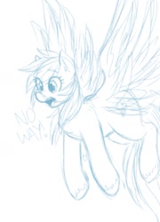 Size: 739x1027 | Tagged: artist needed, safe, character:rainbow dash, species:pegasus, species:pony, /mlp/, 4chan, dialogue, drawthread, female, mare, monochrome, open mouth, simple background, sketch, solo, spread wings, unshorn fetlocks, white background, wings