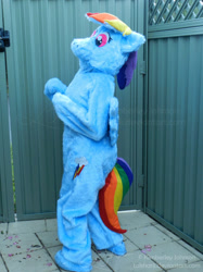 Size: 500x667 | Tagged: artist needed, safe, character:rainbow dash, fursuit, irl, photo, solo