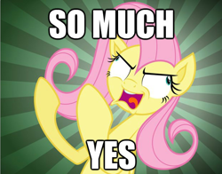 Size: 624x489 | Tagged: artist needed, source needed, useless source url, safe, character:fluttershy, funny, image macro, meme, solo, text, weird face