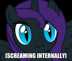 Size: 1253x1080 | Tagged: artist needed, safe, editor:apex soundwave, oc, oc only, oc:nyx, species:alicorn, species:pony, alicorn oc, black background, bust, cat eyes, cat face, cute, female, image macro, implied screaming, internal screaming, mare, reaction image, simple background, slit eyes, solo, text