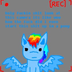 Size: 500x500 | Tagged: artist needed, source needed, safe, character:rainbow dash, ask, camera, camera shot, spread wings, tumblr, vulgar, wings