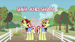 Size: 1280x720 | Tagged: artist needed, safe, character:flam, character:flim, species:pony, species:unicorn, apple tree, duo, duo female, female, flim flam brothers, mare, obtrusive watermark, rule 63, sham, shim, shim sham sisters, siblings, sisters, tree, twin sisters, twins, watermark