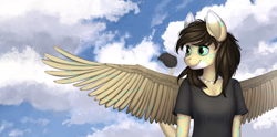 Size: 4033x2000 | Tagged: artist needed, safe, oc, oc only, oc:rune, species:anthro, species:pegasus, species:pony, cloud, cloudy, daytime, female, mare, sky, spread wings, wings