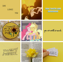 Size: 538x529 | Tagged: artist needed, source needed, safe, character:applejack, character:pinkie pie, species:pony, ship:applepie, episode:hearthbreakers, g4, my little pony: friendship is magic, cute, eyes closed, female, hug, lesbian, mare, moodboard, shipping, smiling, text