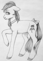 Size: 426x600 | Tagged: artist needed, safe, character:roseluck, species:earth pony, species:pony, bow, collar, cute, female, mare, monochrome, pet tag, pony pet, raised hoof, rosepet, solo, tail bow, traditional art