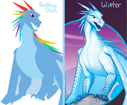 Size: 1272x1051 | Tagged: artist needed, safe, character:rainbow dash, species:dragon, claws, comparison, dragonified, rainbow dragon, species swap, spikes, wings of fire (book series), winter