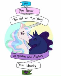 Size: 480x600 | Tagged: artist needed, safe, character:princess celestia, character:princess luna, species:alicorn, species:pony, bust, ethereal mane, facebook, female, feminism, galaxy mane, hoers, mare, motto, pride, purple & black anarchists