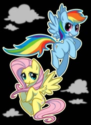 Size: 765x1044 | Tagged: artist needed, safe, character:fluttershy, character:rainbow dash, species:pony