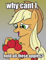 Size: 618x800 | Tagged: artist needed, safe, character:applejack, apple, caption, image macro, meme, parody, solo, text, that pony sure does love apples, why can't i hold all these x