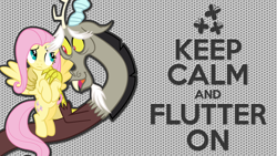 Size: 1024x576 | Tagged: artist needed, source needed, safe, character:discord, character:fluttershy, species:draconequus, species:pegasus, species:pony, episode:keep calm and flutter on, g4, my little pony: friendship is magic, absurd resolution, cute, discute, dots, female, fluttershy's cutie mark, frown, keep calm, male, shyabetes, wallpaper, wings, worried