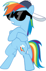 Size: 900x1396 | Tagged: safe, artist:flutterflyraptor, character:rainbow dash, species:pegasus, species:pony, episode:may the best pet win, g4, my little pony: friendship is magic, backwards ballcap, baseball cap, bipedal, cap, clothing, crossed arms, female, hat, mare, radical, simple background, solo, sunglasses, swag, transparent background, vector