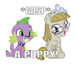 Size: 750x688 | Tagged: artist needed, safe, edit, editor:undeadponysoldier, character:spike, character:zipporwhill, species:dog, species:pegasus, species:pony, my little pony:equestria girls, adorable face, crack shipping, cute, dialogue, female, foal, gasp, glasses, happy, jewelry, male, shipping, simple background, sitting, smiling, spike the dog, spikoorwhill, straight, text, tiara, white background, zipporbetes