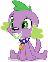 Size: 402x512 | Tagged: artist needed, safe, character:spike, species:dog, my little pony:equestria girls, collar, cute, happy, male, simple background, sitting, smiling, solo, spikabetes, spike the dog, transparent background, vector