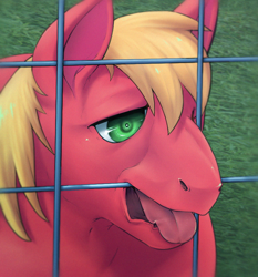 Size: 716x768 | Tagged: artist needed, safe, character:big mcintosh, species:pony, /mlp/, behaving like a dog, big macindog, cribbing, description is relevant, drawthread, hoers, ponified, ponified animal photo, solo