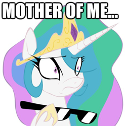 Size: 448x453 | Tagged: artist needed, safe, character:princess celestia, species:alicorn, species:pony, female, image macro, mare, mother of celestia, mother of god, mother of me, reaction image, simple background, solo, sunglasses