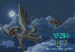 Size: 1080x760 | Tagged: safe, artist:nikameowbb, oc, oc only, oc:slots, species:alicorn, species:anthro, species:pegasus, species:pony, advertisement, cloud, cloudy, commission, commission info, duo, duo female, female, flying, full body, full moon, moon, night, personal space invasion, race, race swap, sky, solo, wings, ych example, ych result, ych sketch, your character here