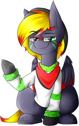 Size: 898x1433 | Tagged: artist needed, source needed, safe, oc, oc only, oc:vyni, species:pegasus, species:pony, 2020 community collab, derpibooru community collaboration, bandana, clothing, gloves, hat, heterochromia, male, signature, simple background, solo, stallion, sweatshirt, transparent background