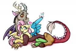 Size: 1733x1155 | Tagged: safe, artist:hannahtailz, character:discord, character:fluttershy, species:draconequus, species:pegasus, species:pony, ship:discoshy, blushing, butterfly, cute, discute, duo, female, male, mare, shipping, shyabetes, simple background, spread wings, straight, white background, wings