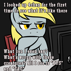 Size: 1024x1024 | Tagged: artist needed, source needed, safe, character:derpy hooves, species:pegasus, species:pony, 4chan, are you serious, computer screen, female, mare, meme, mouthpiece, normies, text, unamused, what's wrong with this place
