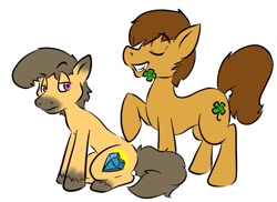 Size: 799x582 | Tagged: artist needed, source needed, safe, oc, oc only, oc:charmed clover, species:earth pony, species:pony, clover, duo, earth pony oc, eyes closed, flower, flower in mouth, four leaf clover, grin, male, mouth hold, raised hoof, simple background, sitting, smiling, stallion, unshorn fetlocks, white background