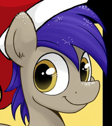 Size: 385x434 | Tagged: artist needed, source needed, safe, oc, oc only, species:pony, bust, christmas, clothing, hat, holiday, male, santa hat, smiling, solo, stallion