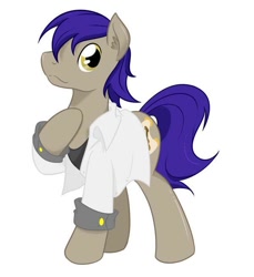 Size: 600x654 | Tagged: artist needed, safe, oc, oc only, species:earth pony, species:pony, clothing, earth pony oc, hoof on chest, jacket, male, raised hoof, shirt, simple background, solo, stallion, standing, t-shirt, three quarter view, white background