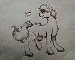 Size: 1024x818 | Tagged: artist needed, safe, oc, oc only, oc:charmed clover, species:earth pony, species:pony, earth pony oc, lineart, looking back, male, signature, solo, stallion, straw in mouth, traditional art, unshorn fetlocks