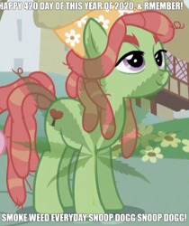 Size: 333x396 | Tagged: source needed, safe, edit, edited screencap, screencap, character:tree hugger, species:earth pony, species:pony, episode:make new friends but keep discord, g4, my little pony: friendship is magic, season 5, 420, bandana, bushy brows, caption, clothing, cropped, cutie mark, drugs, edited edit, exclamation point, eyebrows, female, flower, image macro, lyrics, mare, marijuana, marijuana leaf, meme, nostrils, numbers, outdoors, ponyville, snoop dogg, solo, song, song reference, standing, symbol, text, text edit, tree, weed filter