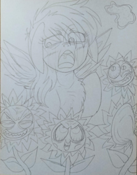 Size: 720x917 | Tagged: artist needed, safe, character:rainbow dash, species:pegasus, species:pony, episode:do princesses dream of magic sheep?, faec, female, flower, mare, monochrome, nightmare sunflower, photo, sunflower, traditional art