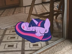 Size: 1065x794 | Tagged: artist needed, source needed, useless source url, safe, character:twilight sparkle, character:twilight sparkle (alicorn), species:alicorn, species:pony, female, house, photo, sleeping, solo