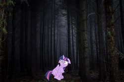 Size: 1068x708 | Tagged: artist needed, source needed, useless source url, safe, character:twilight sparkle, character:twilight sparkle (alicorn), species:alicorn, species:pony, floppy ears, forest, irl, photo, scared