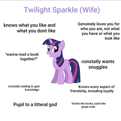 Size: 1024x1024 | Tagged: artist needed, source needed, safe, edit, character:twilight sparkle, character:twilight sparkle (unicorn), species:pony, species:unicorn, female, ideal gf, mare, meme, simple background, smiling, solo, text, white background