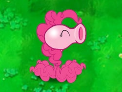 Size: 425x319 | Tagged: artist needed, safe, character:pinkie pie, species:earth pony, species:pony, cute, eyes closed, funny, grass, grass field, original species, peanuts, peashooter, plant, plant pony, plants vs zombies, simple background, species swap, wat