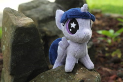 Size: 5184x3456 | Tagged: artist needed, safe, photographer:sometwifag, character:twilight sparkle, character:twilight sparkle (alicorn), species:alicorn, species:pony, g4, outdoors, photo, plushie, rock, starry eyes, wingding eyes