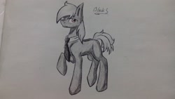 Size: 2560x1440 | Tagged: artist needed, source needed, safe, oc, oc only, oc:silver bristle, species:earth pony, species:pony, g4, cutie mark, looking at you, male, missing accessory, missing cutie mark, necktie, one hoof raised, paper, photo, raised hoof, solo, stallion, traditional art
