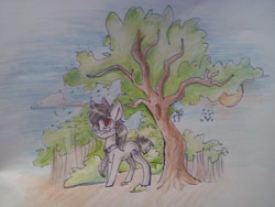 Size: 2560x1920 | Tagged: artist needed, source needed, safe, oc, oc only, oc:silver bristle, species:earth pony, species:pony, g4, cloud, cutie mark, glasses, male, necktie, outdoors, photo, sky, solo, stallion, traditional art, tree