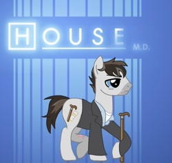 Size: 768x727 | Tagged: artist needed, safe, species:earth pony, species:pony, g4, crossover, gregory house, house m.d., male, ponified, stallion