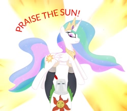Size: 807x701 | Tagged: artist needed, source needed, safe, character:princess celestia, species:alicorn, species:human, species:pony, g4, clothing, dark souls, female, holding a pony, male, mare, praise the sun, solaire of astora