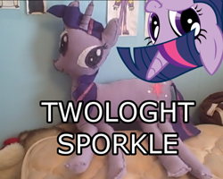 Size: 500x399 | Tagged: artist needed, safe, dwight spergle, irl, photo, plushie, twiface, twologht sporkle, wrong neighborhood