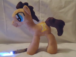 Size: 900x675 | Tagged: artist needed, safe, character:doctor whooves, character:time turner, irl, photo, plushie