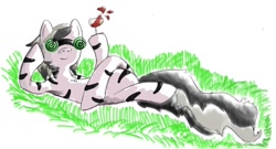 Size: 1276x688 | Tagged: artist needed, safe, oc, oc only, species:zebra, drink, goggles, solo