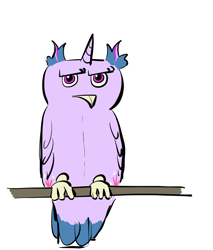 Size: 1088x1280 | Tagged: artist needed, safe, character:twilight sparkle, species:bird, species:owl, birdified, simple background, solo, species swap, twilight sparkowl, unamused, upset, white background