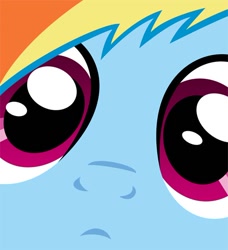 Size: 500x549 | Tagged: artist needed, safe, character:rainbow dash, close up series, close-up, extreme close up, solo, stare