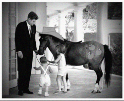 Size: 551x451 | Tagged: artist needed, safe, character:applejack, species:human, american presidents, caroline kennedy, child, clothing, hoers, horse, irl, irl human, jfk jr, john f. kennedy, necktie, photo, ponies in real life, president, suit