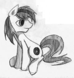 Size: 700x732 | Tagged: artist needed, source needed, safe, oc, oc only, species:earth pony, species:pony, grayscale, looking back, male, monochrome, simple background, sitting, solo, stallion, traditional art, white background