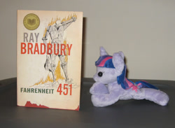 Size: 1006x738 | Tagged: artist needed, safe, character:twilight sparkle, book, fahrenheit 451, irl, photo, plushie, ray bradbury, this will end in tears