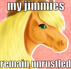 Size: 829x800 | Tagged: artist needed, safe, character:applejack, species:earth pony, species:pony, g4, abstract background, female, horse, image macro, jimmies, mare, meme, realistic, solo
