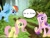 Size: 651x500 | Tagged: artist needed, safe, edit, character:fluttershy, character:princess cadance, character:rainbow dash, fluttertree, ponies in real life, ponies in the forest, tree