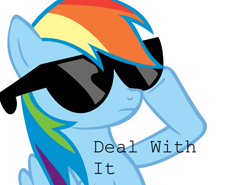 Size: 651x481 | Tagged: artist needed, source needed, safe, character:rainbow dash, species:pegasus, species:pony, g4, artifact, caption, cooler, deal with it, female, first deal with it image on derpibooru, image macro, mare, meme, simple background, solo, sunglasses, text, white background